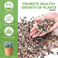 5lbs Small Rocks for Terrarium, Planters Drainage, 1/5 Inch Lava Rock for Bonsai Tree, Decorative Gravel for Succulents, Bamboo, Cactus, Mixed Color