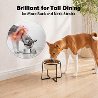 Ceramic Elevated Dog Bowls with Stand - Beige / XL - image 3