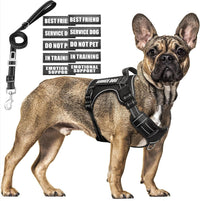 Tactical Dog Harness and Leash Set with 10 Patches for Large Dogs – Essentials for Dogs - Medium / Black