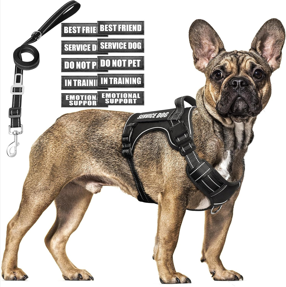 Tactical Dog Harness and Leash Set with 10 Patches for Large Dogs – Essentials for Dogs - Medium / Black