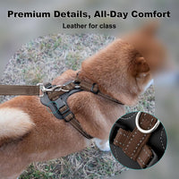 Plutus Pet No Pull Dog Harness with Leather Accents - M / Chocolate - image 2