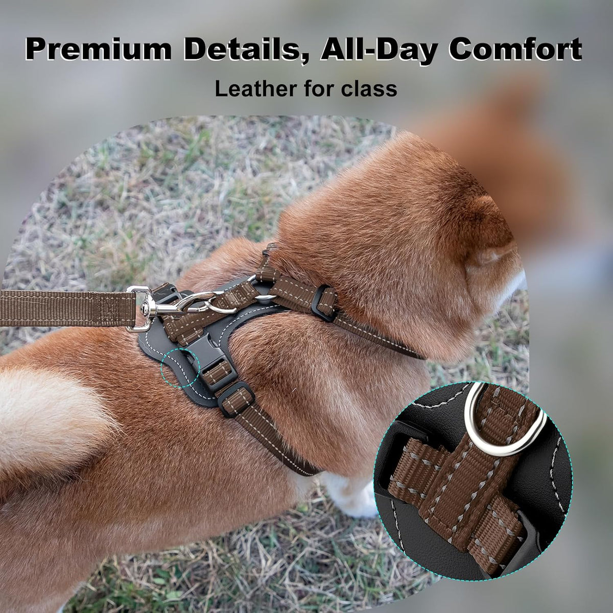 Plutus Pet No Pull Dog Harness with Leather Accents - M / Chocolate - image 2