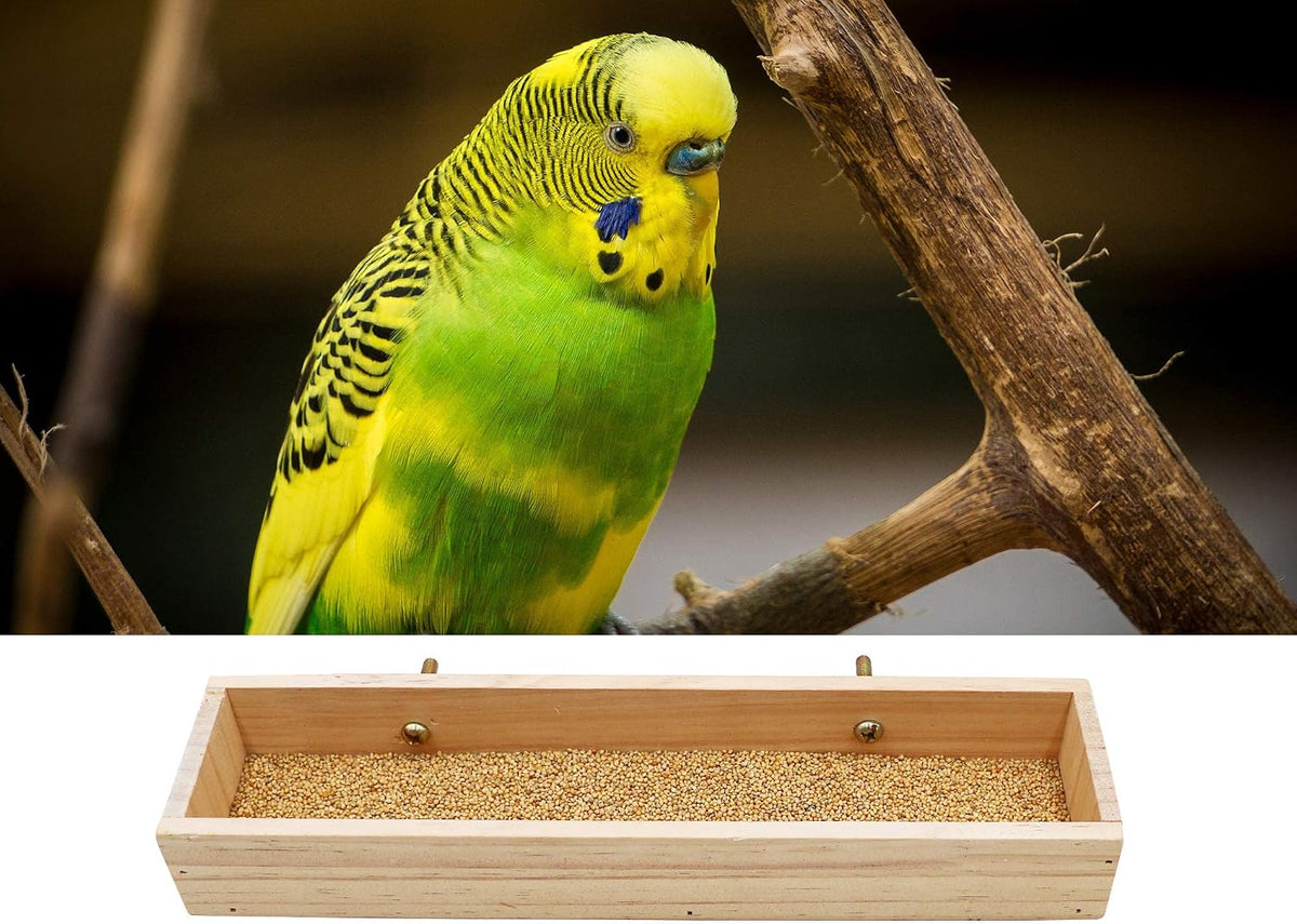 Bird Feeding Cups, Natural Wooden Parrot Perch Stand - 11.8 × 3.1 Inch - image 4