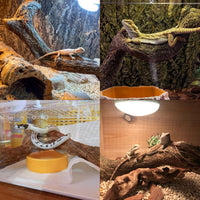 Reptile Decor 3PCS Natural Forest Branch Terrarium Habitat Decoration - L: 4PCS (12.9IN) - image 4