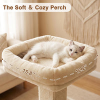 Tall Cat Scratching Post for Indoor Cats Adults with Carpet - Brown / Large（with bed） - image 4