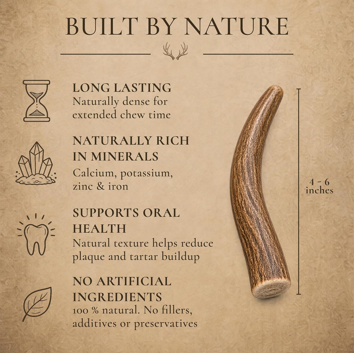 WhiteTail Naturals 12 Pack Whole Deer Antlers for Petite Dogs Up - Petite (Pack of 6) - image 2