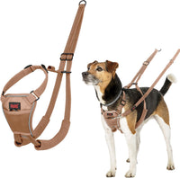 Halti No Pull Dog Harness, Size M - Desert Sand / S