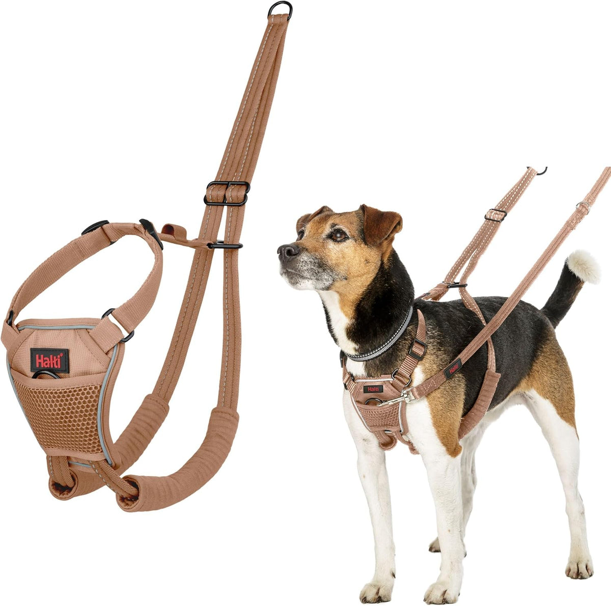 Halti No Pull Dog Harness, Size M - Desert Sand / S