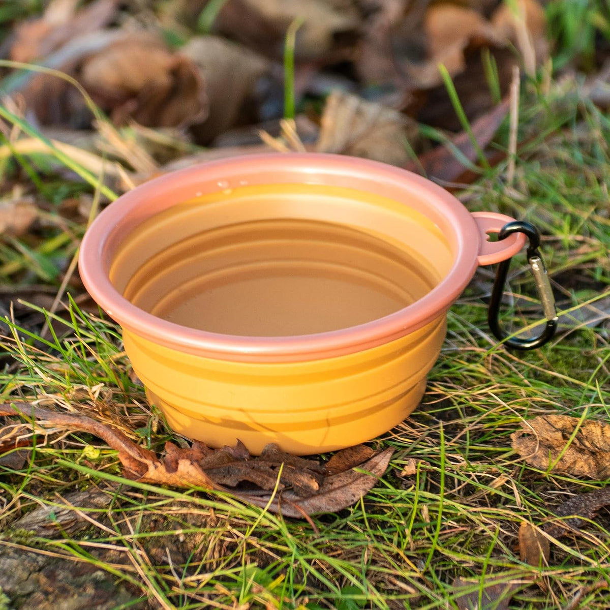 Portable Collapsible Dog Bowl for Water or Food Great Pet Travel Bowl - Brown / Standard 12oz - image 2