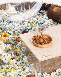 Niteangel Small Animal Snack & Treats - Small Critter Natural Treat for Dwarf Syrian Hamsters Gerbils Mice Sugar Glider Hedgehogs Chickens Birds