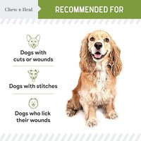 Pet Liquid Bandage for Dogs - 4 oz Spray with Aloe - Wound Care for Dogs Including Cuts, Scrapes, and Stitches - Breathable and Waterproof