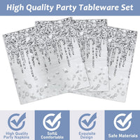 100 Pack Black and White Checkered Flag Party Napkins Disposable Race - 100 / Silver - image 3
