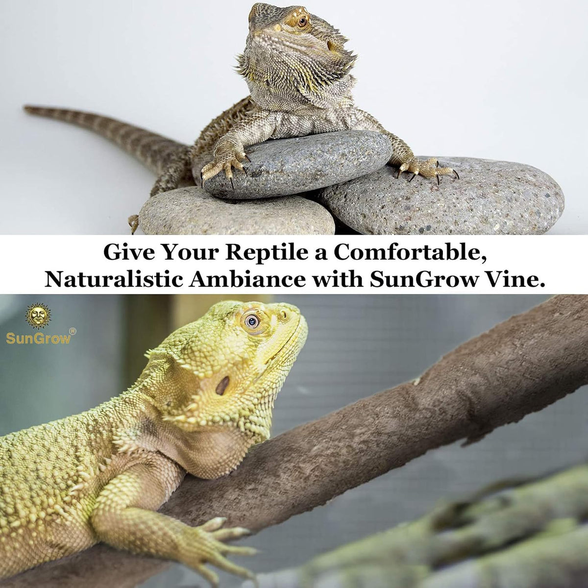 SunGrow 6 ft Reptile Vine for Terrarium - image 4