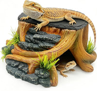 Bearded Dragon Basking Platform - M: 9×8.7×3.7 inch | Style-A