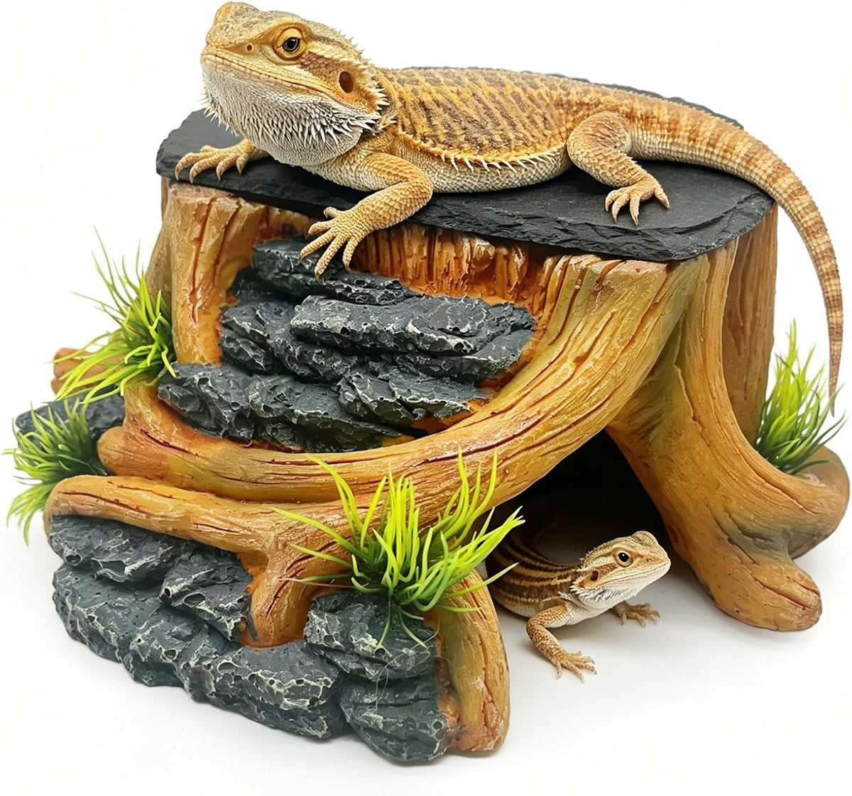 Bearded Dragon Basking Platform - M: 9×8.7×3.7 inch | Style-A
