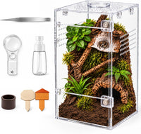 Jumping Spider Enclosure Starter Kit - Clear / Small