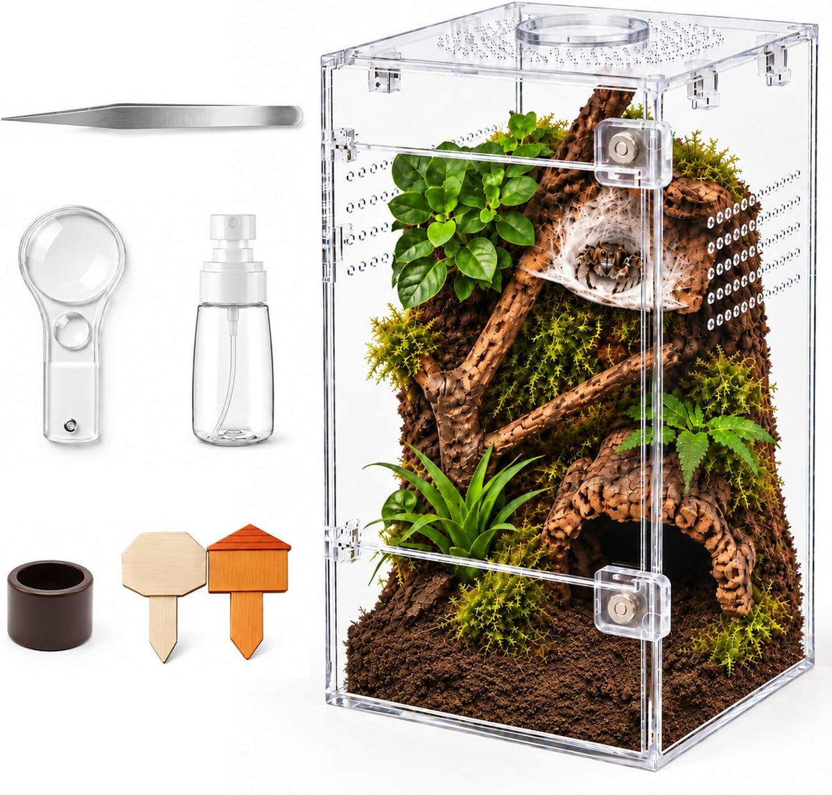 Jumping Spider Enclosure Starter Kit - Clear / Small