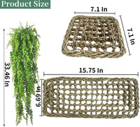 Reptile Hammock, Large Lizard Lounger - 【▇+▄+Green】 - image 4