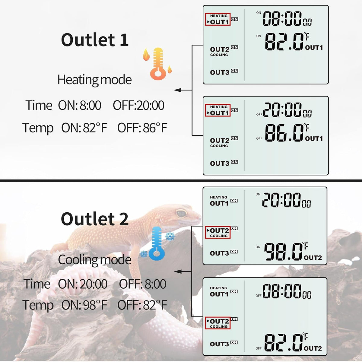 DIGITEN Day-Night Reptile Temperature Controller with Timer – Essentials for Reptiles And Amphibians - image 4