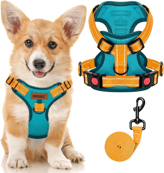MIDOG No-Pull Dog Harness | Adjustable & Reflective Pet Harness Leash Set for Small Medium Large Dogs Walking, Training| No Choke, Front Clip, Soft Padded Vest with Easy Control Handle - Blue, S