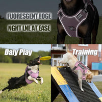 Dog Harness and Leash Set for Large Dogs - Pink / S - image 3