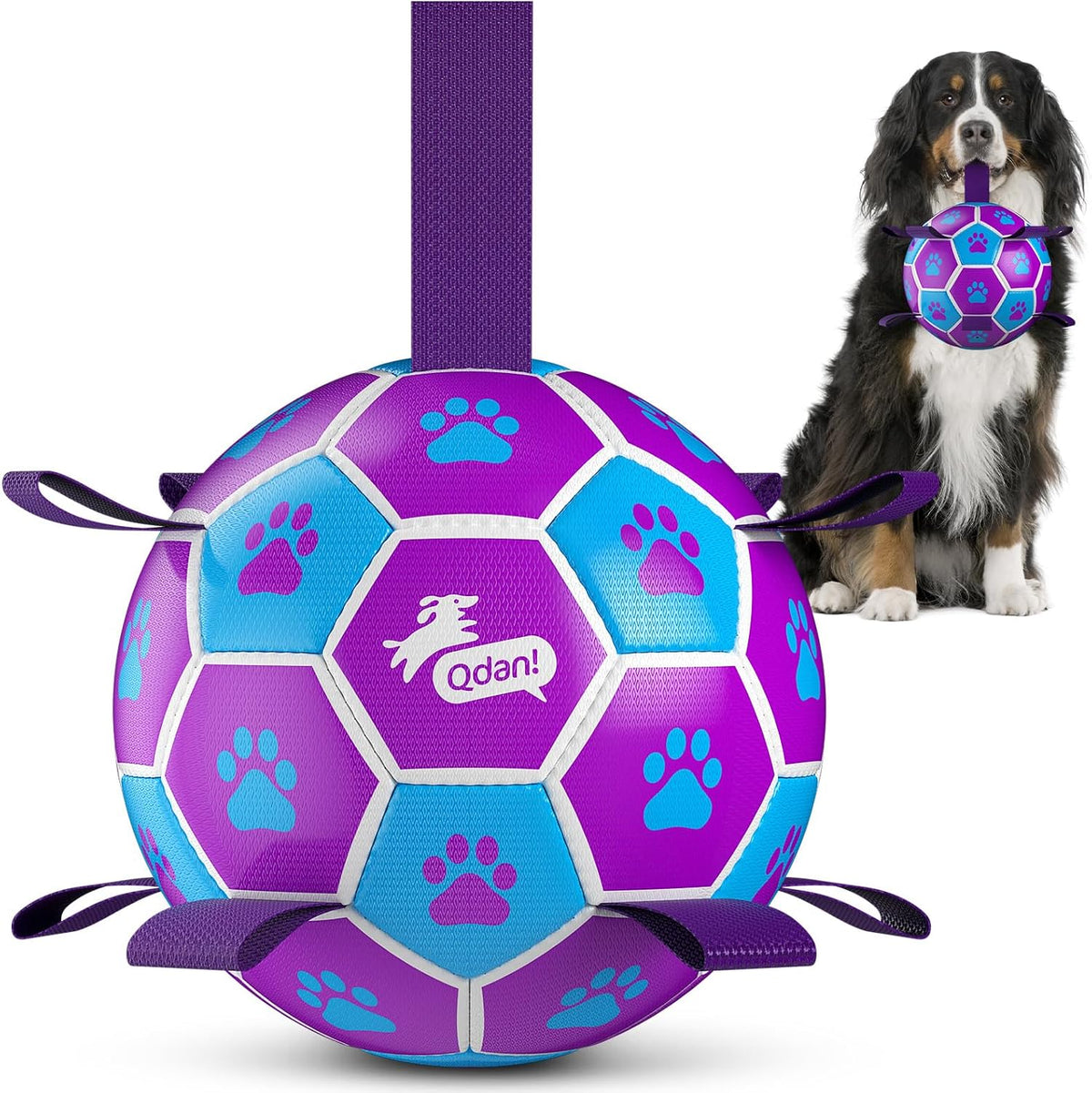 QDAN Dog Balls, Herding Balls for Dogs - Purple-Blue / Extra Large Size 5 (9 Inch)