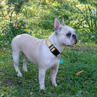 Ladoogo Reflective Dog Collar Padded with Soft Neoprene - Beige / Medium - image 4