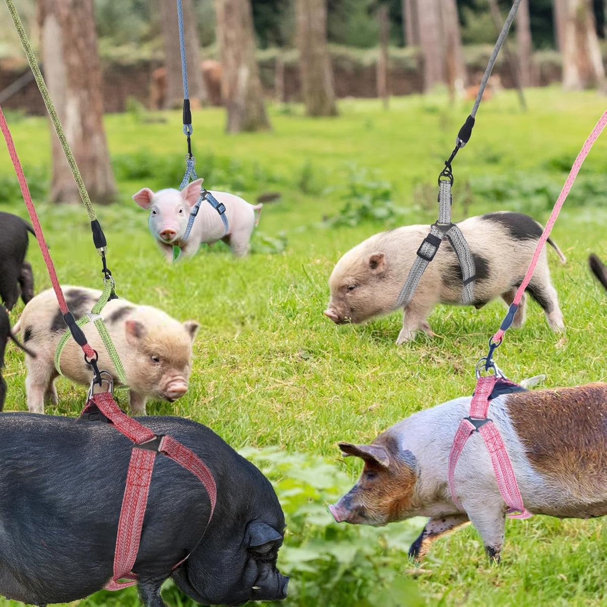 YeeBeny Mini Pig Harness Adjustable with Leash Foam Handle Pink - Green / XL - image 2