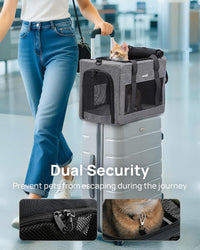 Pecute Cat Carrier, Portable Travel Pet Carrier with Stable Structure, Grey – Essentials for Cats - Grey / 16.7"L x 11.0"W x 9.0"H - image 4