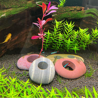 Natural River Stone Plant Weights for Aquarium - Large 1.2″ Hole 5pcs - image 2