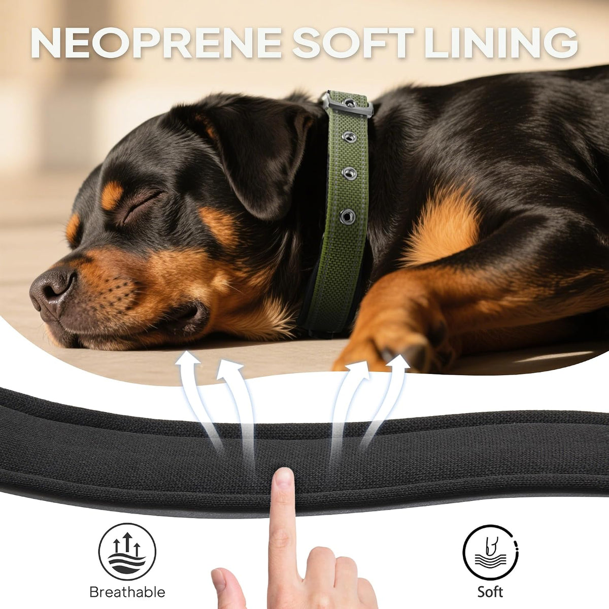 PetiFine Dog Collars for Medium Dogs - Green / Small (11"-14.5") - image 4