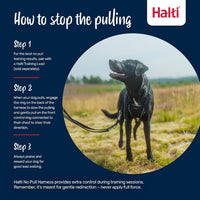 Halti No Pull Dog Harness, Size M - Deep Walnut / L - image 4