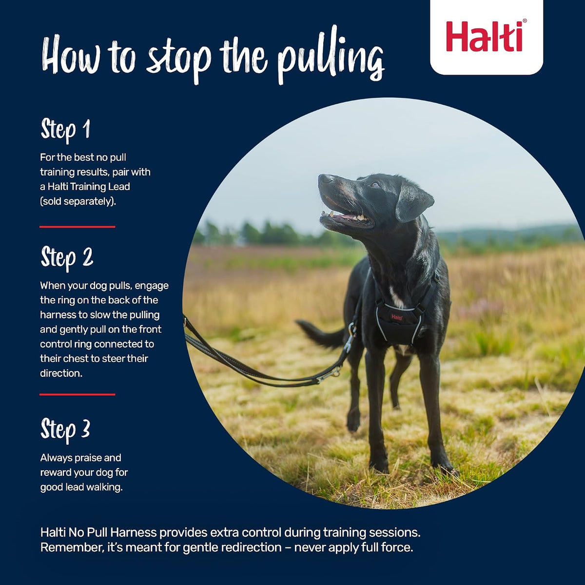 Halti No Pull Dog Harness, Size M - Deep Walnut / L - image 4