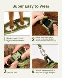 Upgraded Cat Harness and Leash Set - Green Growling Crocodile / S - image 2