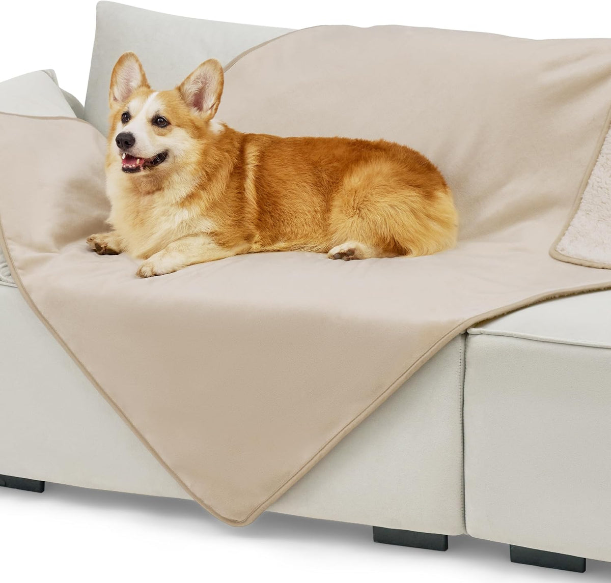 Bedsure Waterproof Dog Blankets for Small Dogs Soft Cat Blanket Warm - L(40x50") / Cream