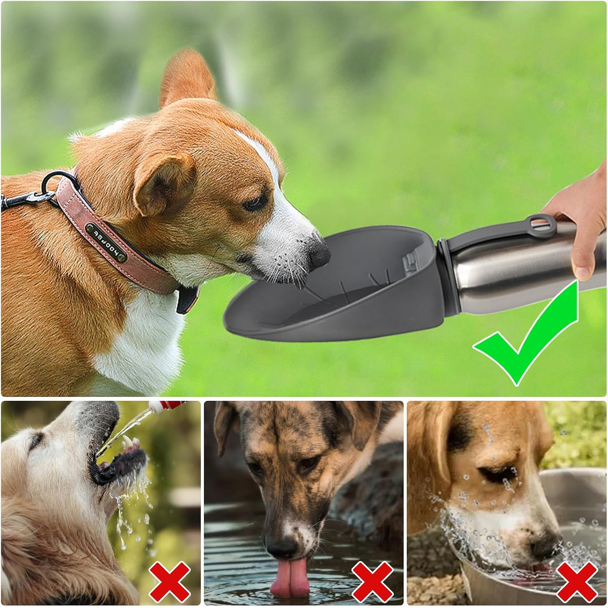 URPOWER Insulated Dog Water Bottle - image 2