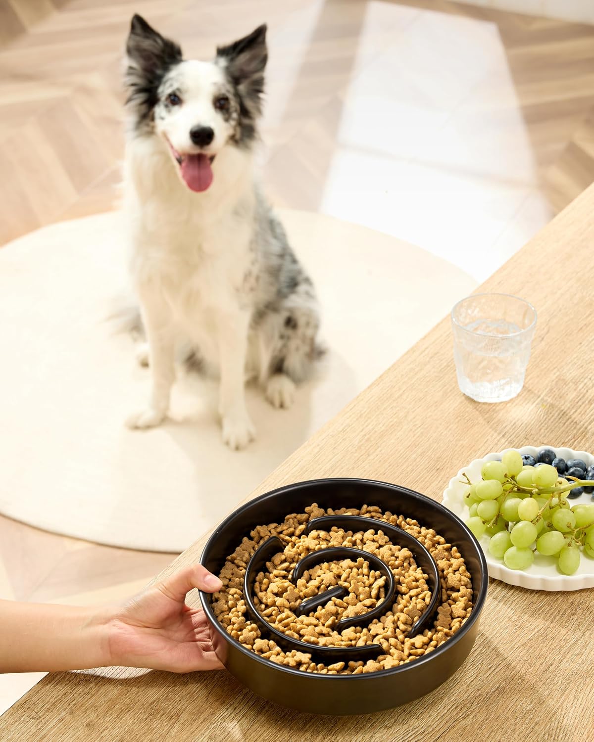 Ceramic Slow Feeder Dog Bowls - Black / 10 Inches - image 2