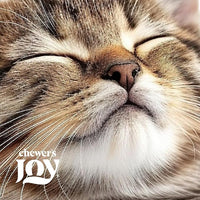 Chewer's Joy Wet Cat Food Variety Pack – 3 Flavors: Tuna & Salmon, Tuna & Chicken, Tuna & Turkey – Natural Pâté – High Protein – Grain Free – Complete & Balanced Nutrition – 24 Cans (3 oz)
