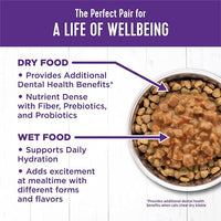 Wellness Complete Health Gravy Adult Wet Cat Food, Natural, Protein-Rich, Grain Free, 5.5 Ounce , 12 Pack, (Chicken Dinner)