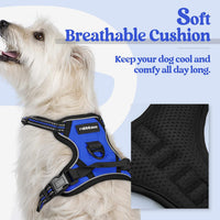 rabbitgoo Dog Harness, No Pull for Large Dogs with 2 Leash Clips - X-Small / Dazzling Blue - image 2