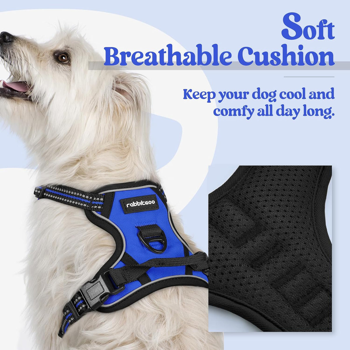 rabbitgoo Dog Harness, No Pull for Large Dogs with 2 Leash Clips - X-Small / Dazzling Blue - image 2