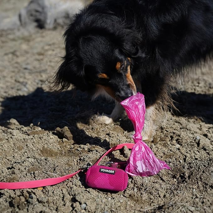 Best Pet Supplies Dog Poop Bags (240 Bags) for Waste Refuse Cleanup, Doggy Roll Replacements for Outdoor Puppy Walking and Travel, Leak Proof and Tear Resistant, Thick Plastic - Pink Heart
