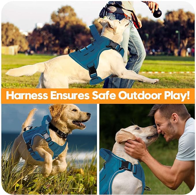 Heavy-Duty Tactical Dog Harness for Large Dogs, No Pull Adjustable Reflective Pet Vest with Molle System, K9 Military-Grade Control for Service Training, Outdoor & 10+ Breeds, Blue, Medium