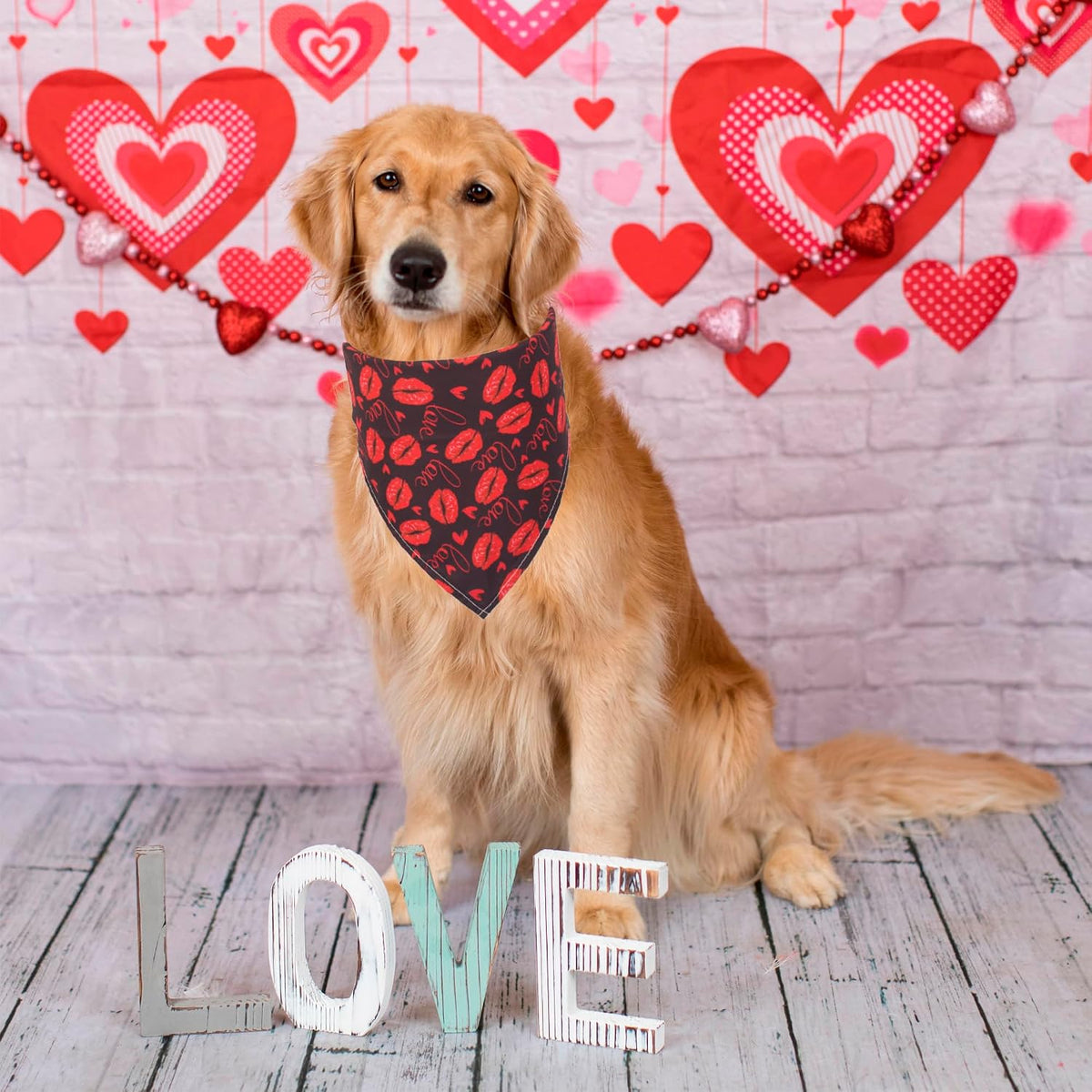 Halloween Dog Bandanas, L - X-Large / Valentine - image 3
