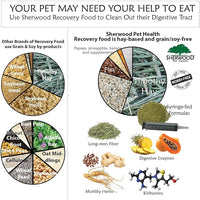 Pet Guinea Pig Emergency Kit with Timothy Recovery Food (Large Emergency Kit)