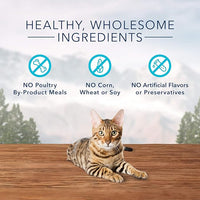 Blue Buffalo Wilderness High Protein Crunchy Cat Treats, Made With Natural Ingredients, Tasty Trout, 2-oz Bag (Pack of 12)