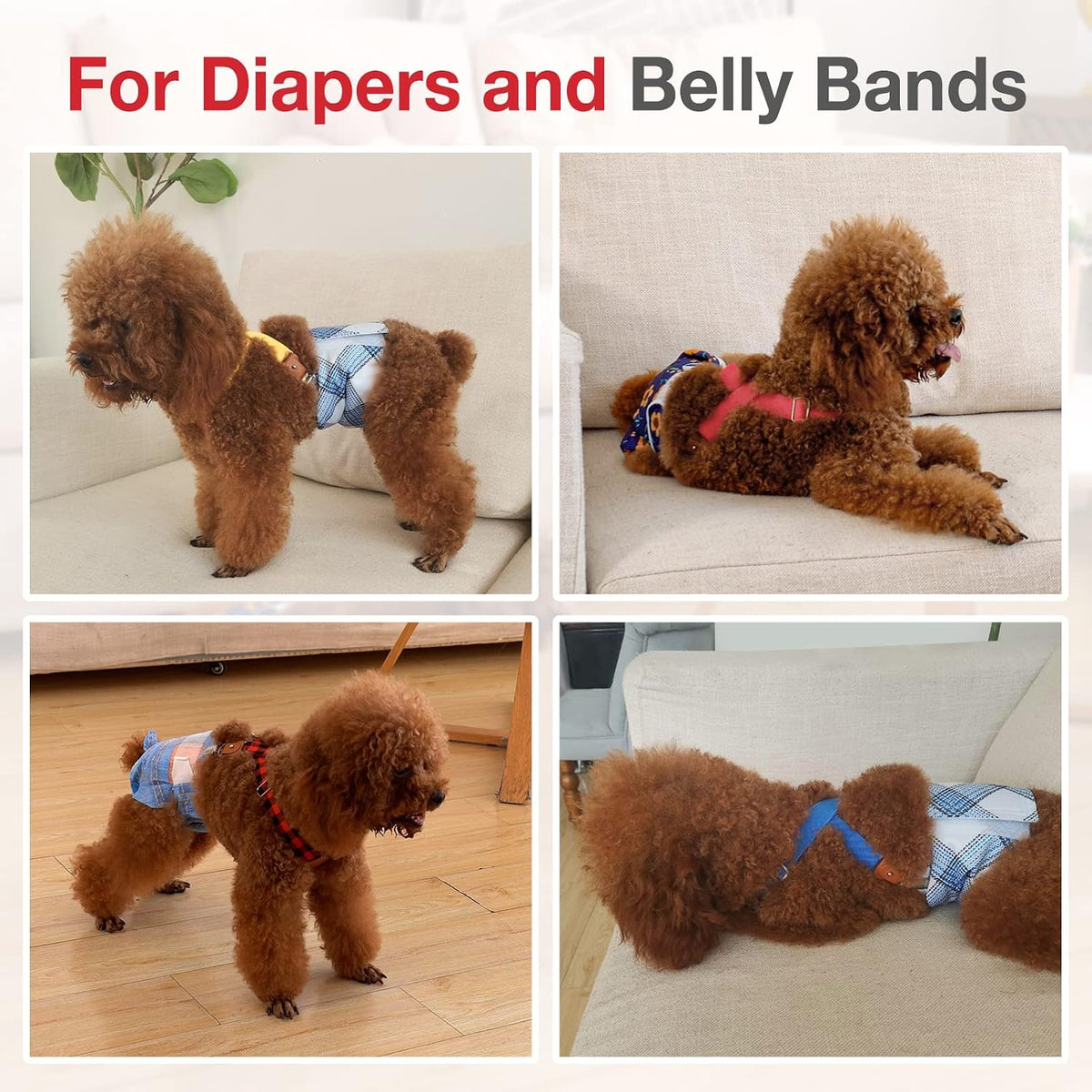 Pet Soft Dog Suspenders 2 Pieces Female Dog Diaper Suspenders - Heart / S/M - image 4