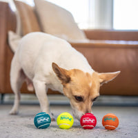 Outward Hound Squeaker Ballz Tennis Ball Dog Toy, 2.5", 4‑Pack - Multi Squeaker Balls / X-Small / 4-Pack - image 4