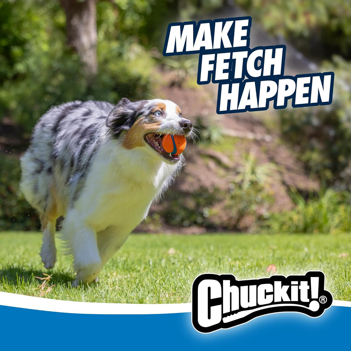 Chuckit! Ultra and Rugged Dog Balls, High-Bounce Fetch, Set of 3 - Medium (2.5") / Fetch Pack 1 - image 4