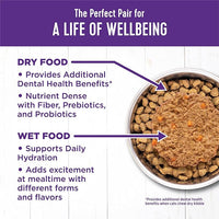 Wellness Complete Health Pate Kitten Wet Cat Food, Natural, Protein-Rich, Grain Free, 5.5 Ounce, 24 Pack, (Chicken)